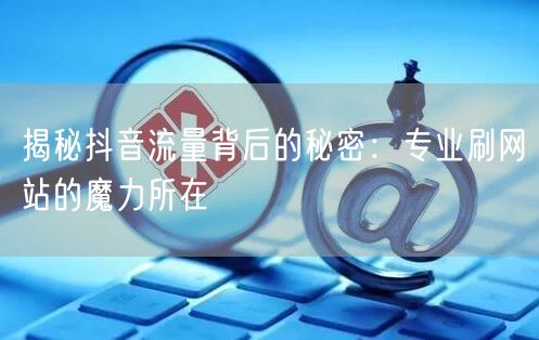 揭秘抖音流量背后的秘密:专业刷网站的魔力所在