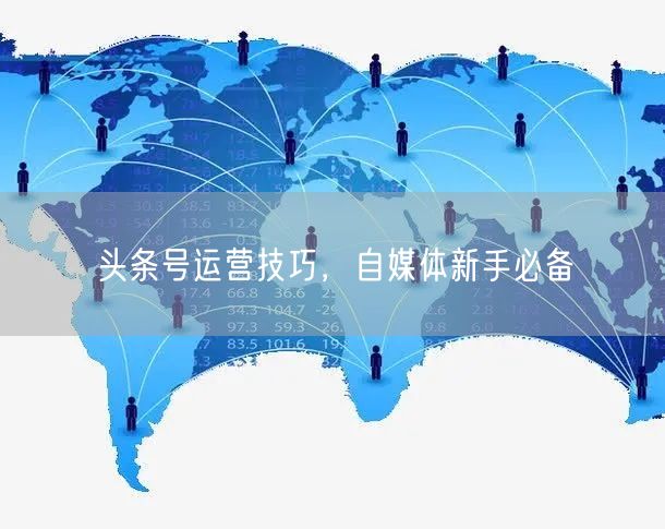 头条号运营技巧,自媒体新手必备