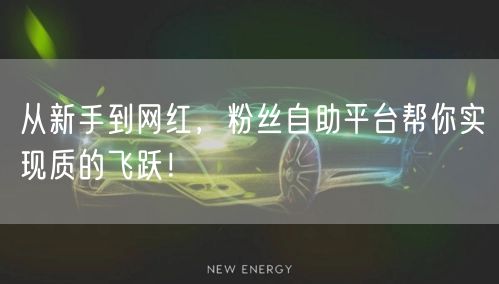 从新手到网红,粉丝自助平台帮你实现质的飞跃!