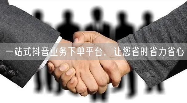 一站式抖音业务下单平台,让您省时省力省心