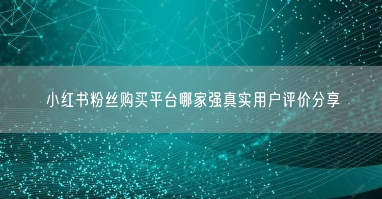 小红书粉丝购买平台哪家强真实用户评价分享