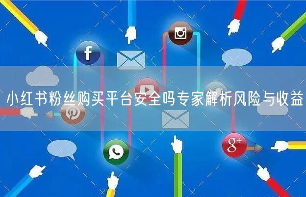小红书粉丝购买平台安全吗专家解析风险与收益
