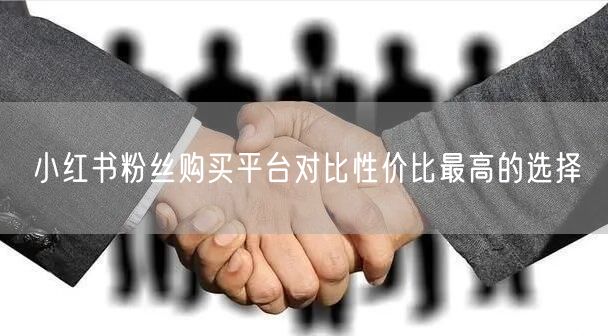 小红书粉丝购买平台对比性价比最高的选择