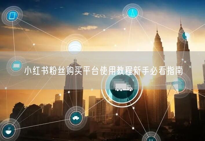 小红书粉丝购买平台使用教程新手必看指南