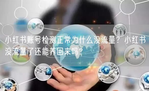 小红书账号检测正常为什么没流量?小红书没流量了还能养回来吗?
