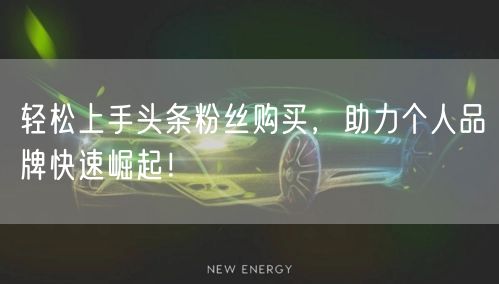轻松上手头条粉丝购买，助力个人品牌快速崛起！