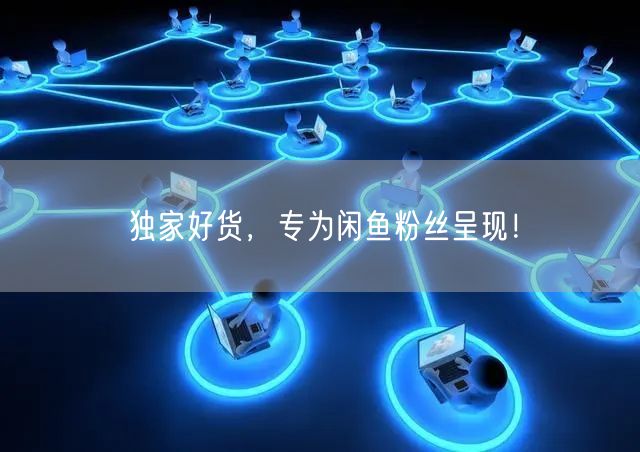 独家好货，专为闲鱼粉丝呈现！