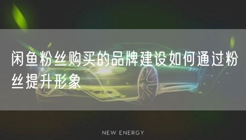 闲鱼粉丝购买的品牌建设如何通过粉丝提升形象