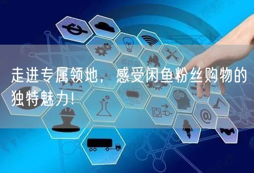 走进专属领地，感受闲鱼粉丝购物的独特魅力！