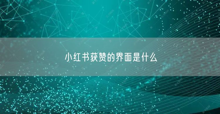小红书获赞的界面是什么