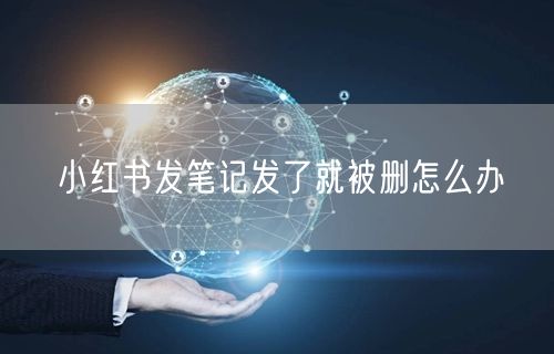 小红书发笔记发了就被删怎么办
