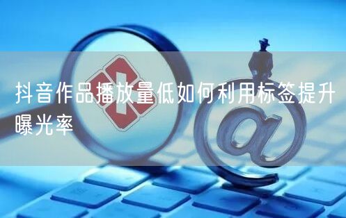 抖音作品播放量低如何利用标签提升曝光率