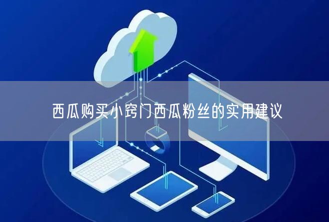 西瓜购买小窍门西瓜粉丝的实用建议