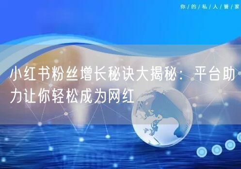 小红书粉丝增长秘诀大揭秘:平台助力让你轻松成为网红