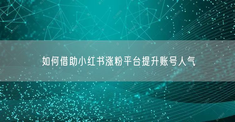 如何借助小红书涨粉平台提升账号人气