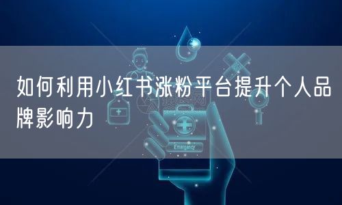 如何利用小红书涨粉平台提升个人品牌影响力