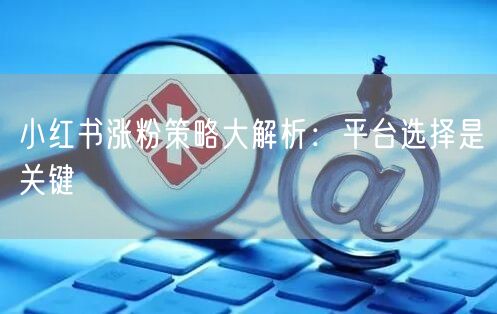 小红书涨粉策略大解析:平台选择是关键