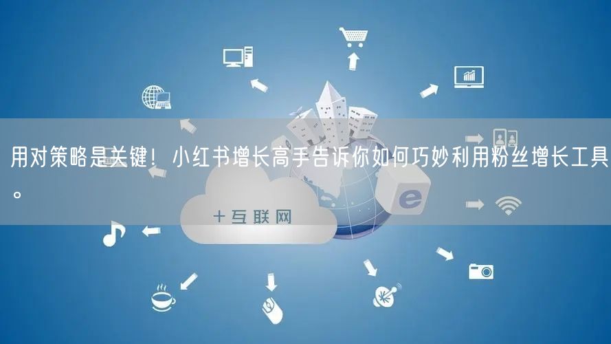 用对策略是关键！小红书增长高手告诉你如何巧妙利用粉丝增长工具。
