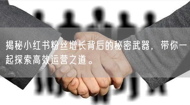 揭秘小红书粉丝增长背后的秘密武器，带你一起探索高效运营之道。