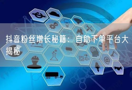 抖音粉丝增长秘籍：自助下单平台大揭秘