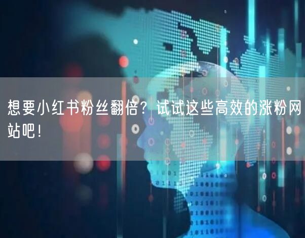 想要小红书粉丝翻倍？试试这些高效的涨粉网站吧！