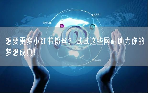 想要更多小红书粉丝?试试这些网站助力你的梦想成真!