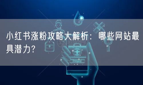 小红书涨粉攻略大解析：哪些网站最具潜力？