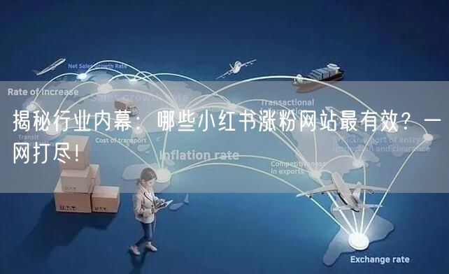 揭秘行业内幕:哪些小红书涨粉网站最有效?一网打尽!