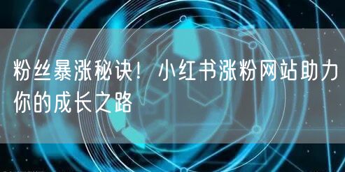 粉丝暴涨秘诀!小红书涨粉网站助力你的成长之路