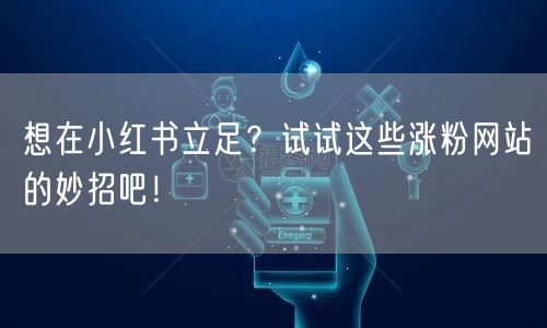 想在小红书立足?试试这些涨粉网站的妙招吧!