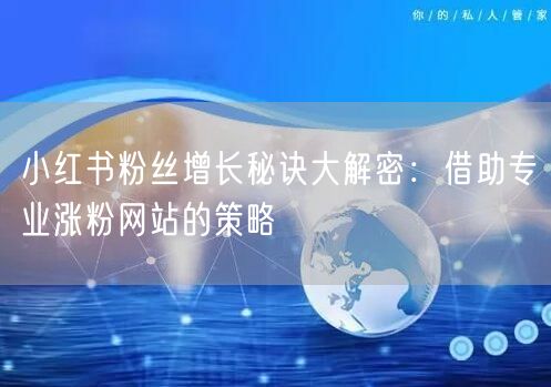 小红书粉丝增长秘诀大解密:借助专业涨粉网站的策略