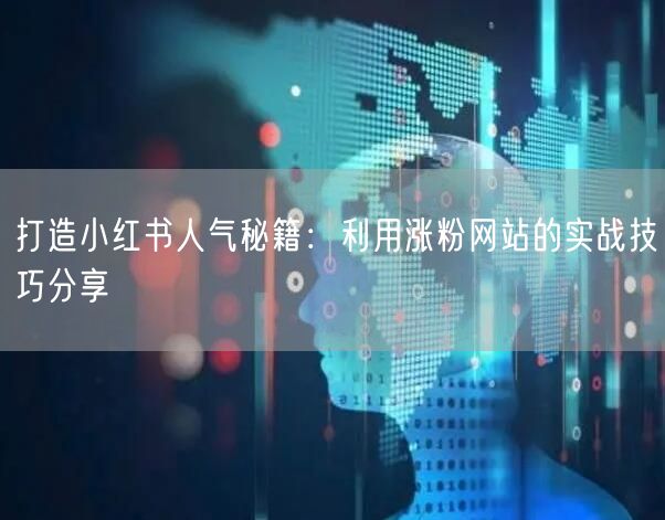 打造小红书人气秘籍:利用涨粉网站的实战技巧分享