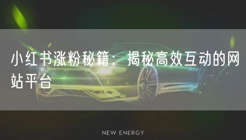 小红书涨粉秘籍:揭秘高效互动的网站平台