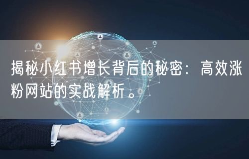 揭秘小红书增长背后的秘密:高效涨粉网站的实战解析。
