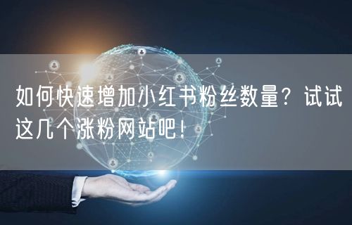 如何快速增加小红书粉丝数量?试试这几个涨粉网站吧!