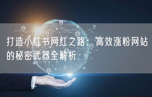 打造小红书网红之路:高效涨粉网站的秘密武器全解析
