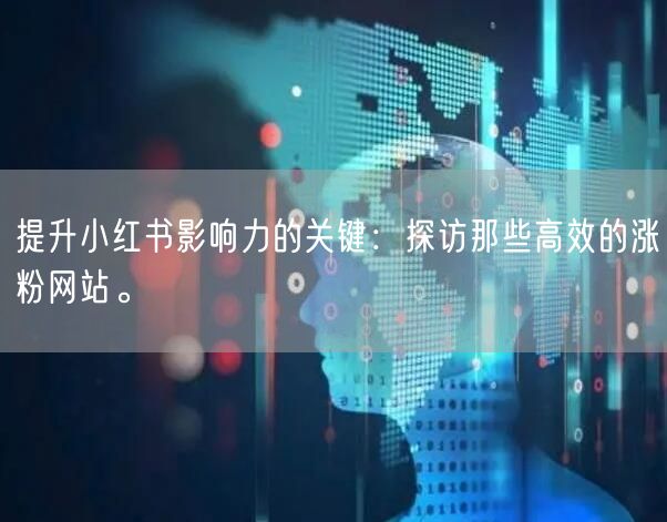 提升小红书影响力的关键:探访那些高效的涨粉网站。
