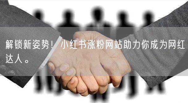 解锁新姿势!小红书涨粉网站助力你成为网红达人。
