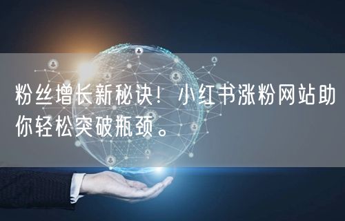 粉丝增长新秘诀!小红书涨粉网站助你轻松突破瓶颈。