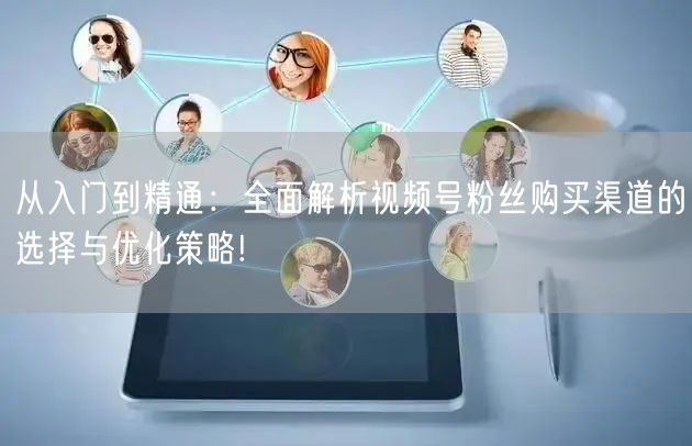 从入门到精通:全面解析视频号粉丝购买渠道的选择与优化策略!
