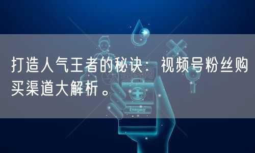 打造人气王者的秘诀:视频号粉丝购买渠道大解析。