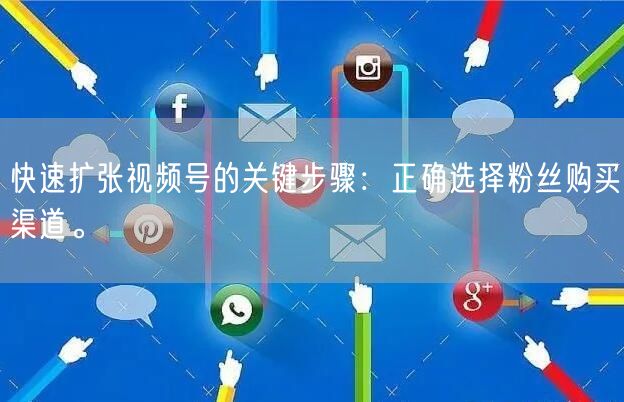 快速扩张视频号的关键步骤:正确选择粉丝购买渠道。