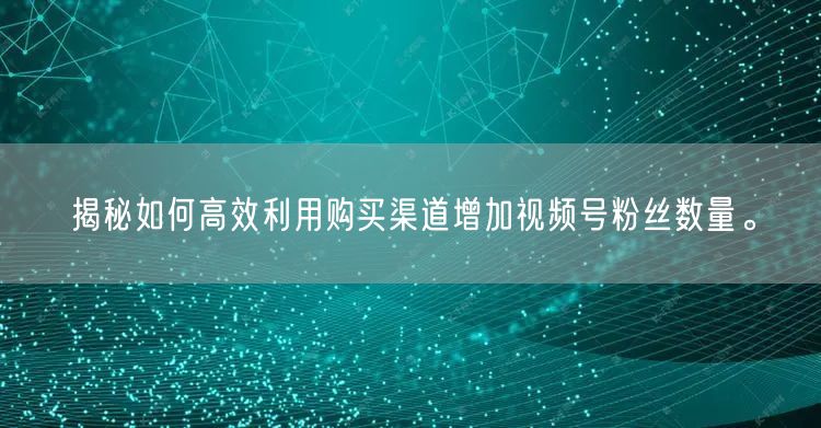 揭秘如何高效利用购买渠道增加视频号粉丝数量。