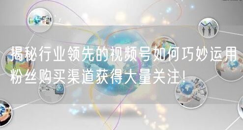 揭秘行业领先的视频号如何巧妙运用粉丝购买渠道获得大量关注!