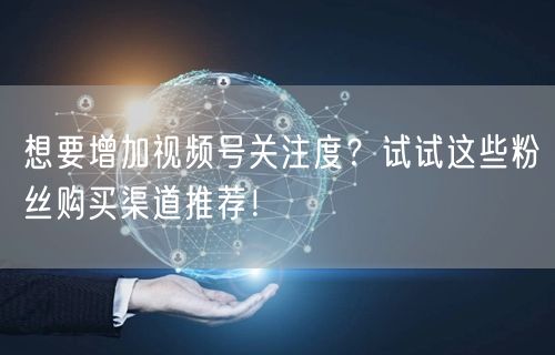想要增加视频号关注度?试试这些粉丝购买渠道推荐!