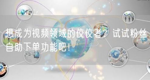 想成为视频领域的佼佼者?试试粉丝自助下单功能吧!