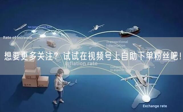 想要更多关注?试试在视频号上自助下单粉丝吧!
