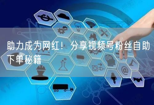 助力成为网红!分享视频号粉丝自助下单秘籍