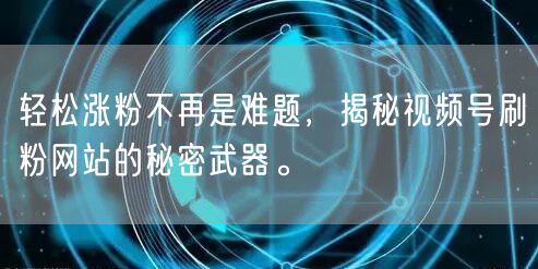 轻松涨粉不再是难题，揭秘视频号刷粉网站的秘密武器。