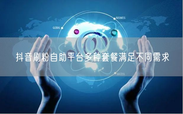 抖音刷粉自助平台多种套餐满足不同需求